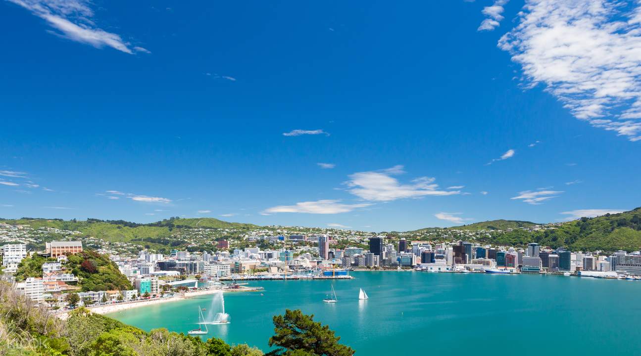 Wellington City Sightseeing Bus Tour Klook Australia