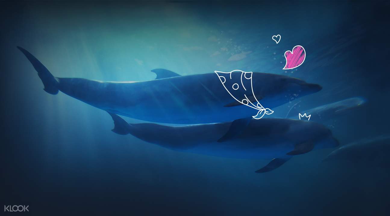 韓華水族館一山