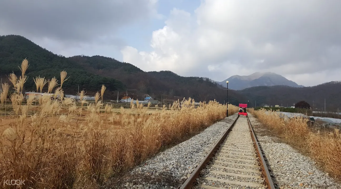 江村 rail bike