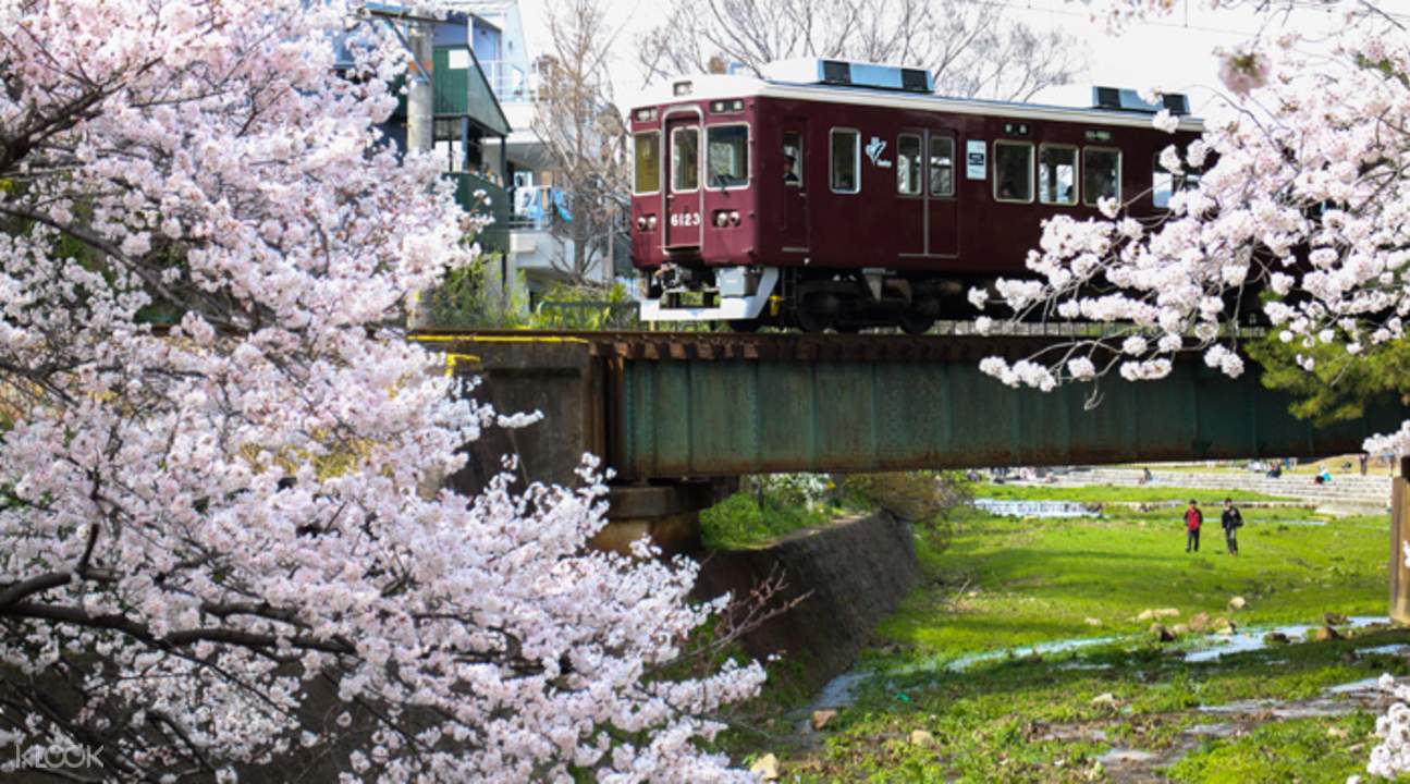 Kyoto Train Pass