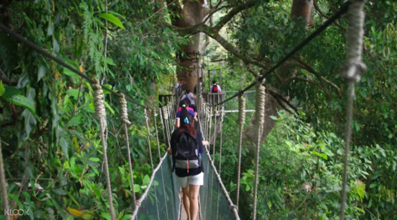 神山公園、波令溫泉