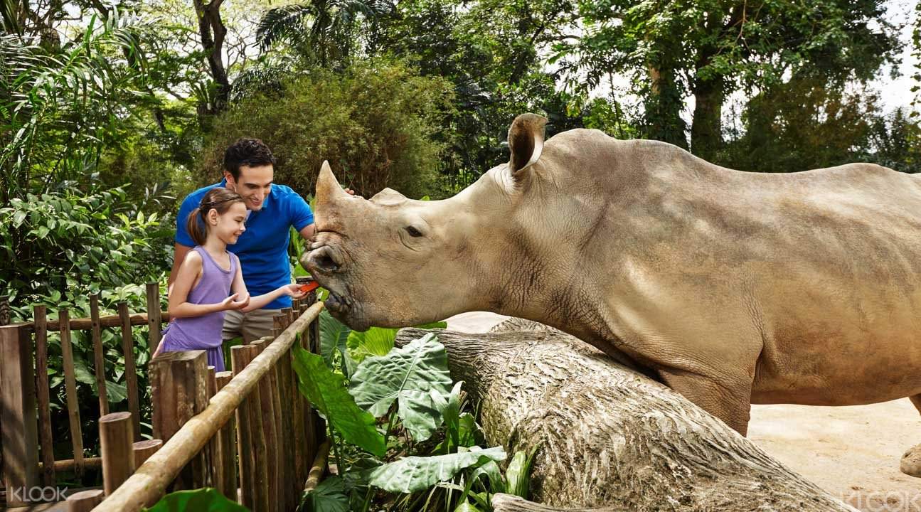 新加坡動物園早餐