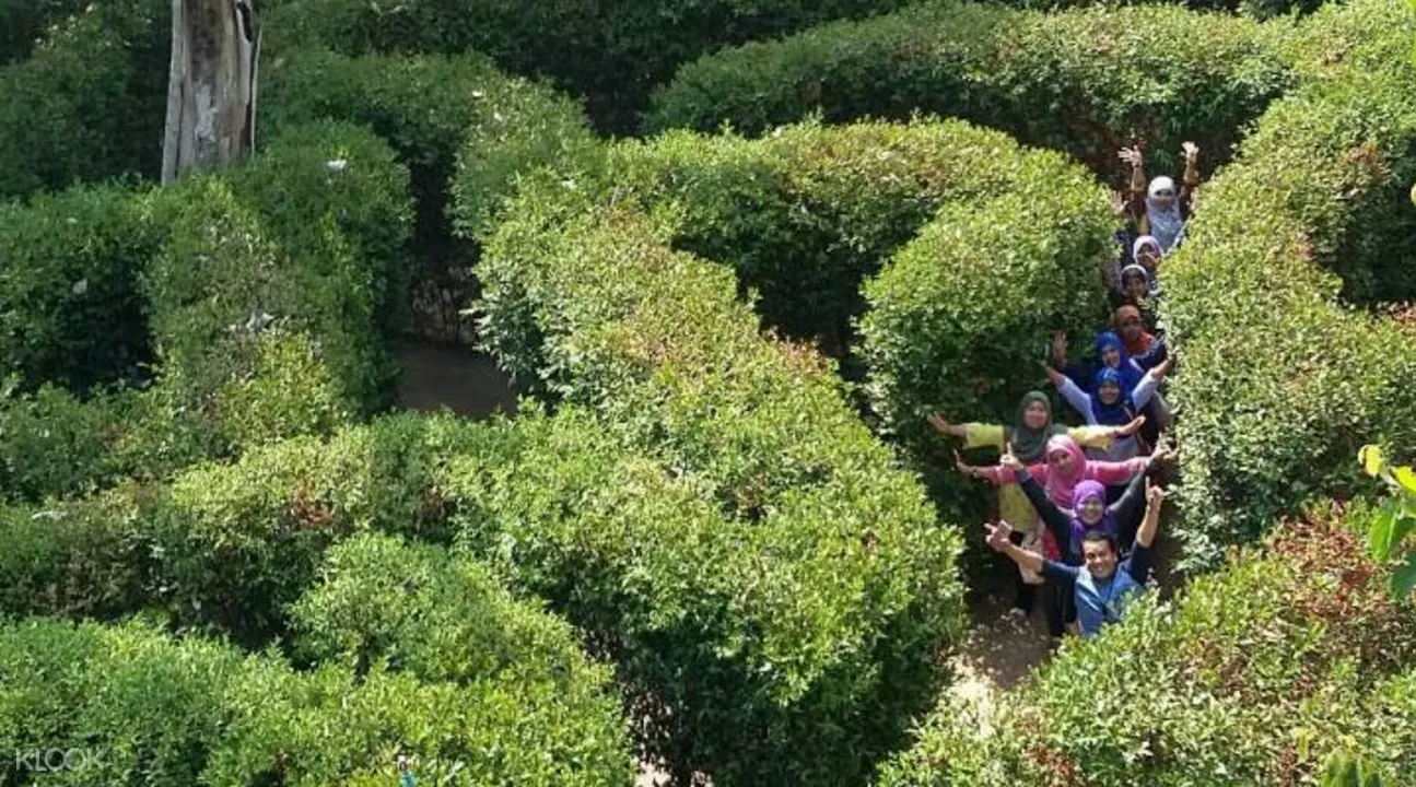 普吉島迷宮花園