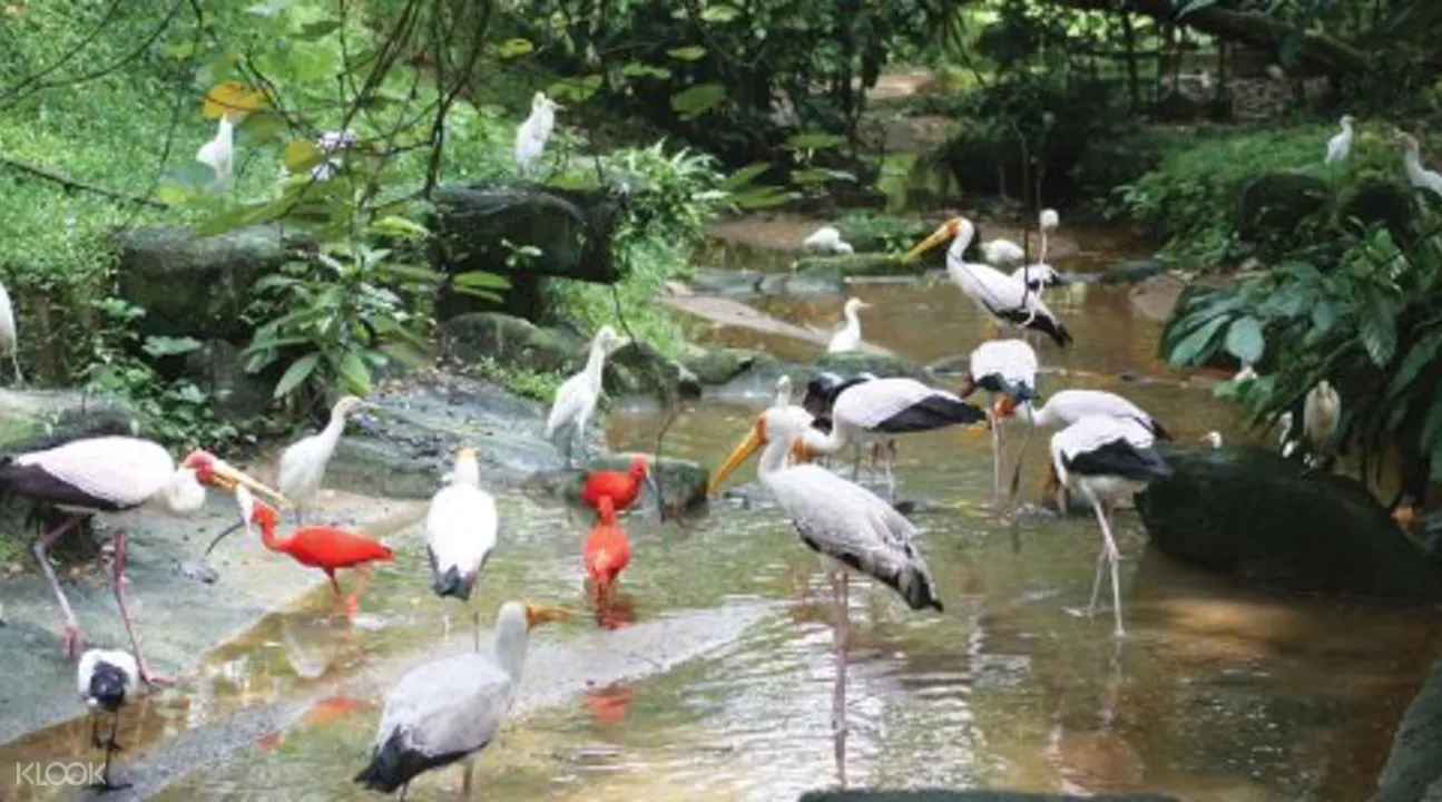 Gardens Parks Half Day Tour Klook Malaysia