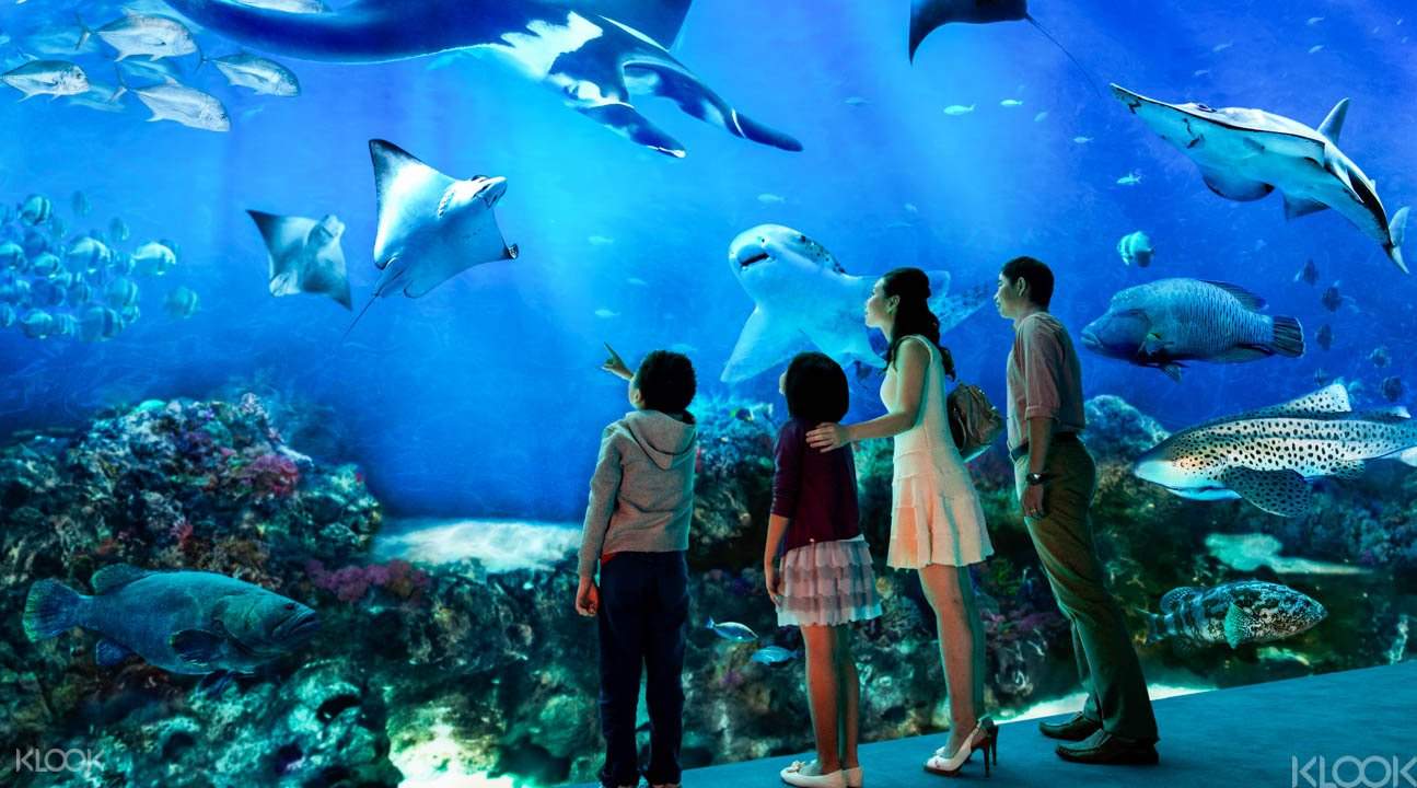 新加坡水族館