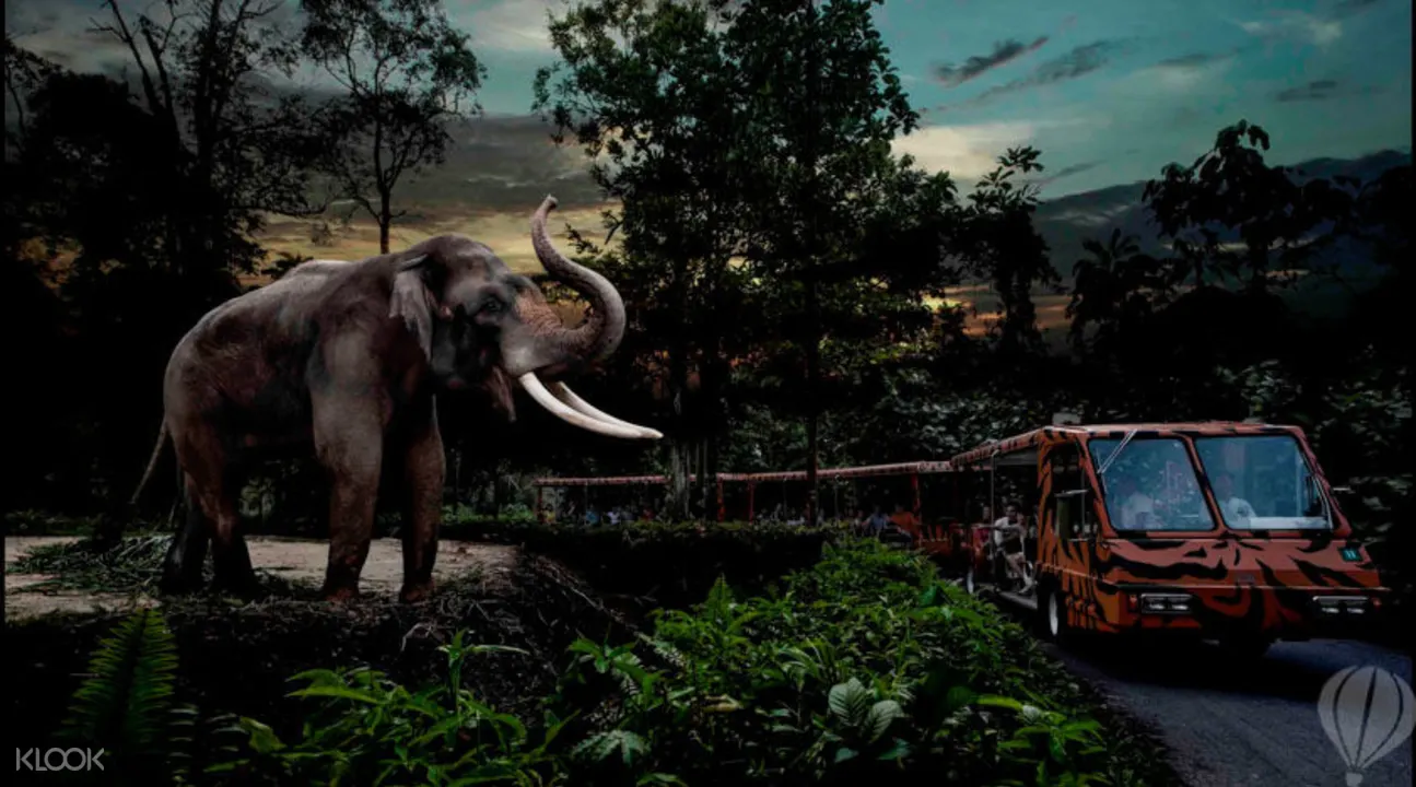 Singapore Night Safari Open Date Tickets Klook Singapore Singapore Night Safari Open Date Tickets Klook Singapore