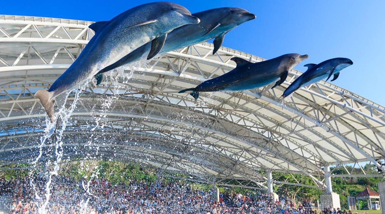 沖繩美麗海水族館