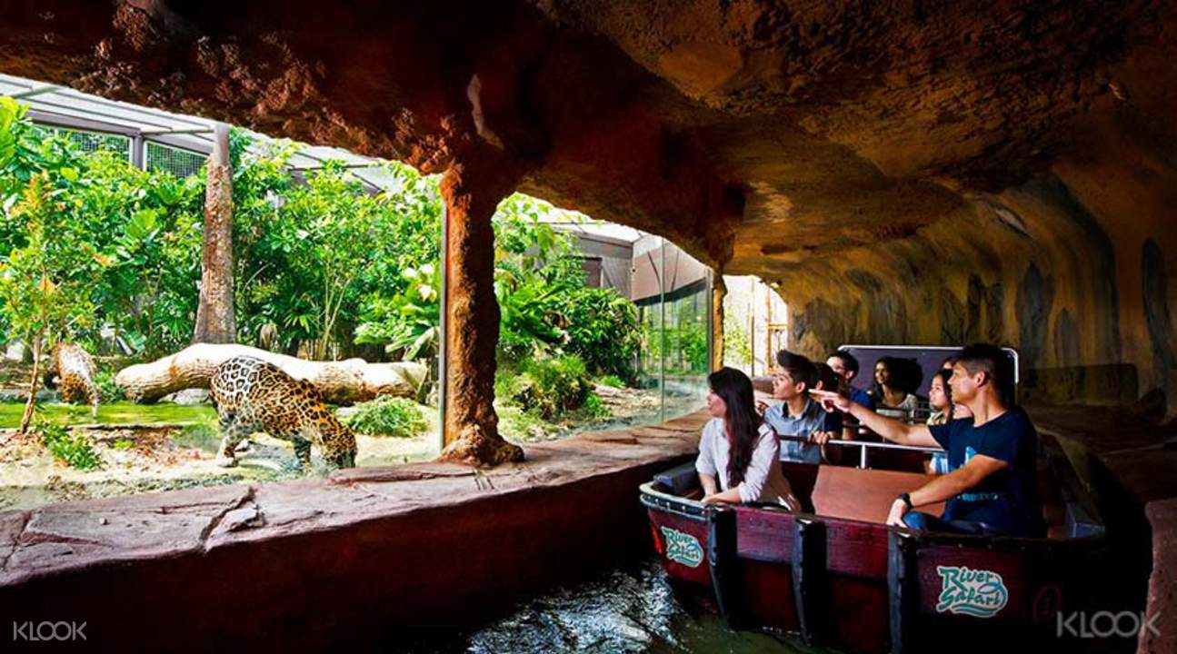 is river safari in singapore zoo