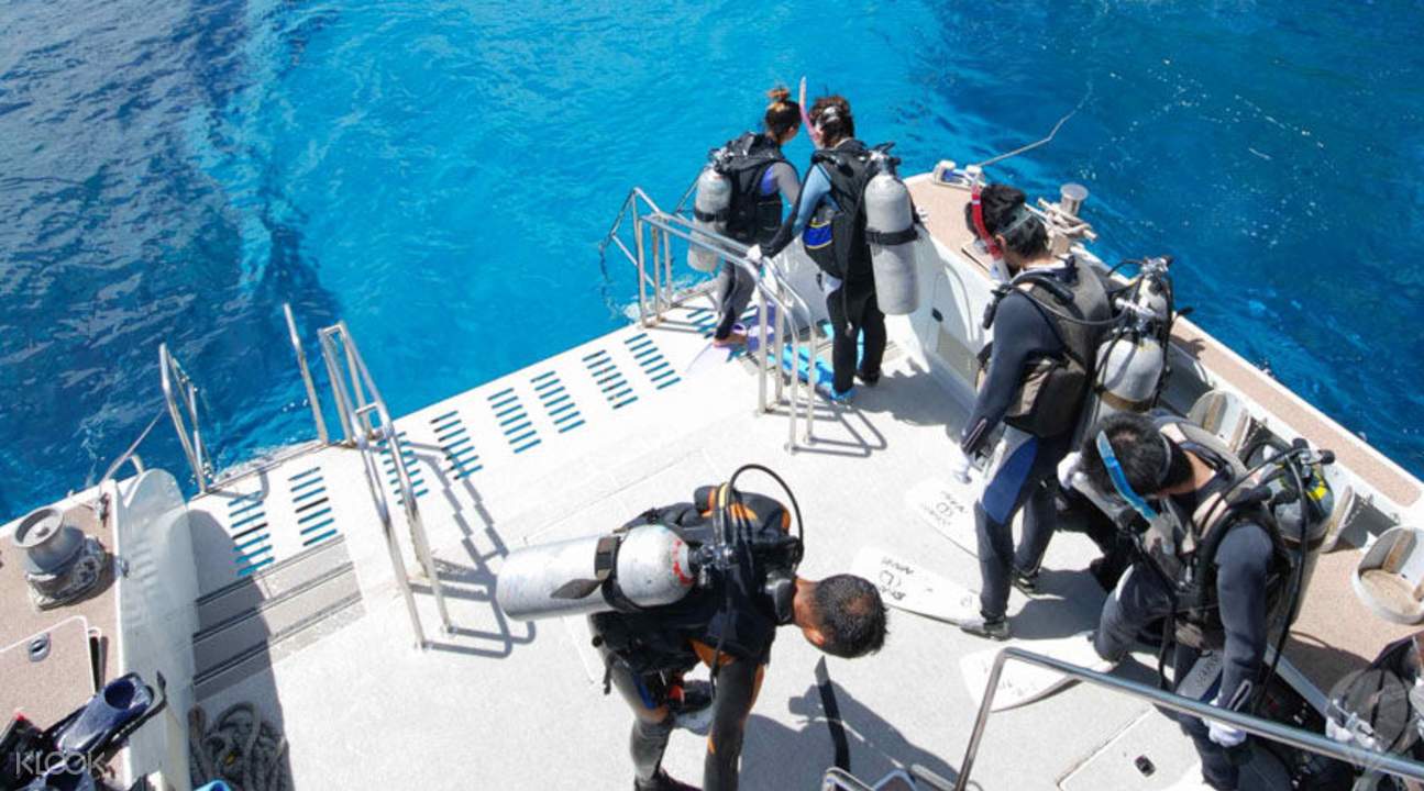 阿嘉島潜水體驗