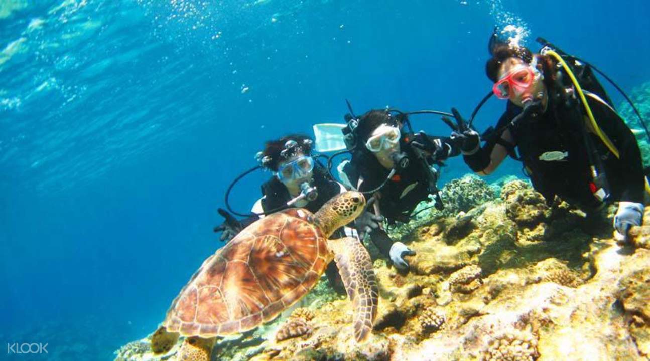 慶良間浮潛體驗