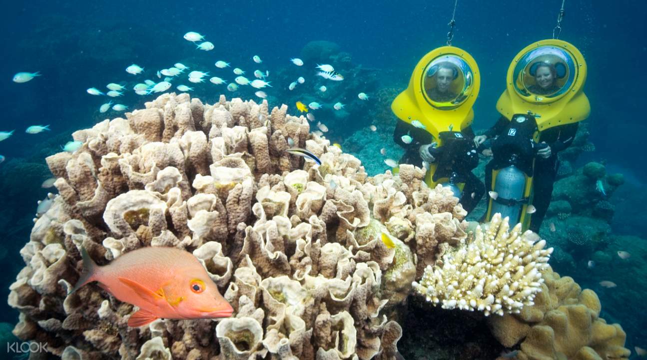 Great Barrier Reef Adventure from Cairns Klook Canada