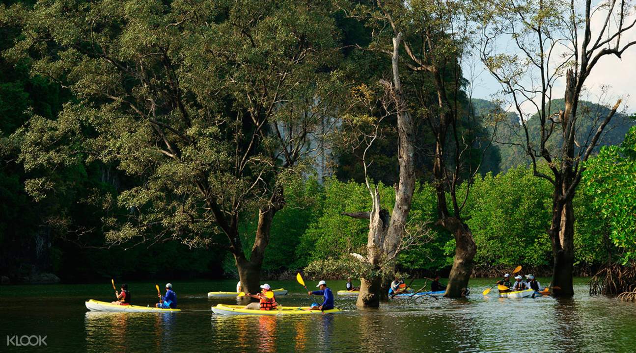 Krabi Ao Thalane Mangrove Kayak Trip Klook
