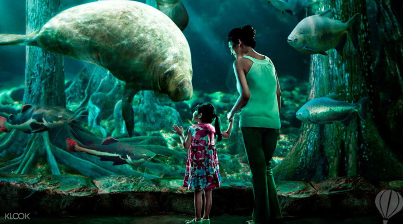 Singapore Zoo River Safari Timings