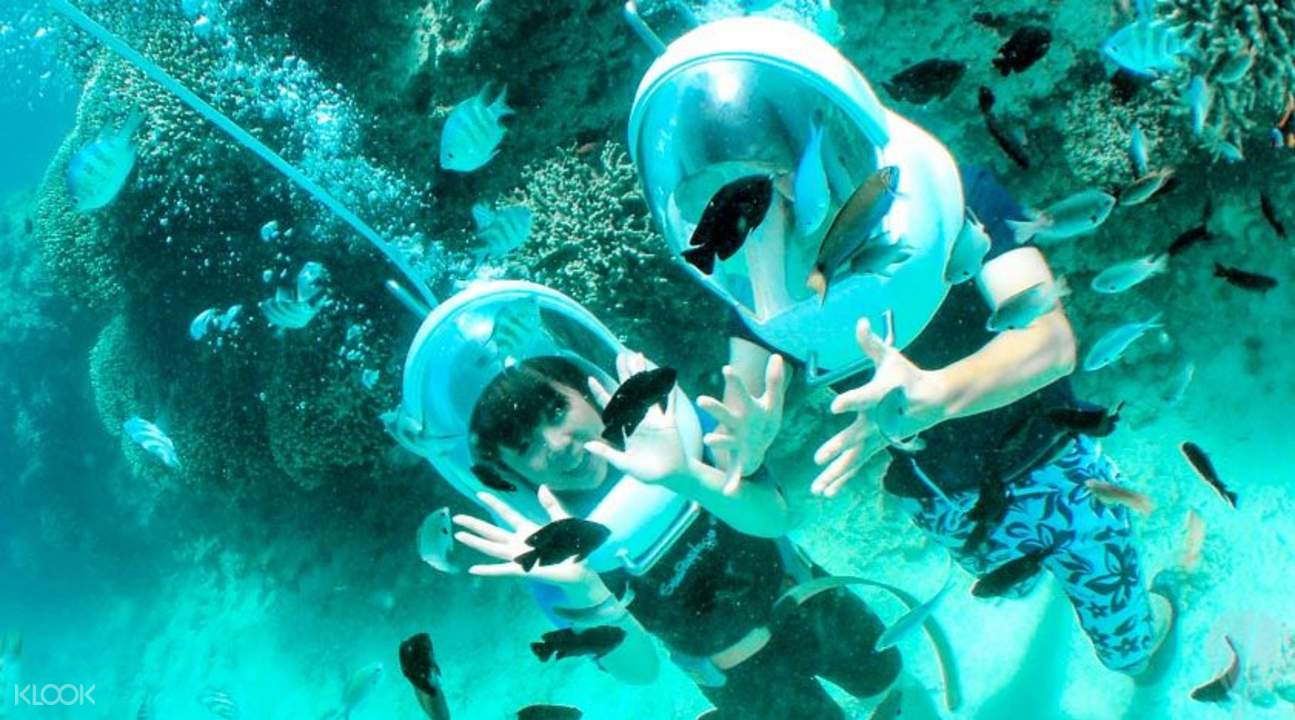Incredible Marine Walk