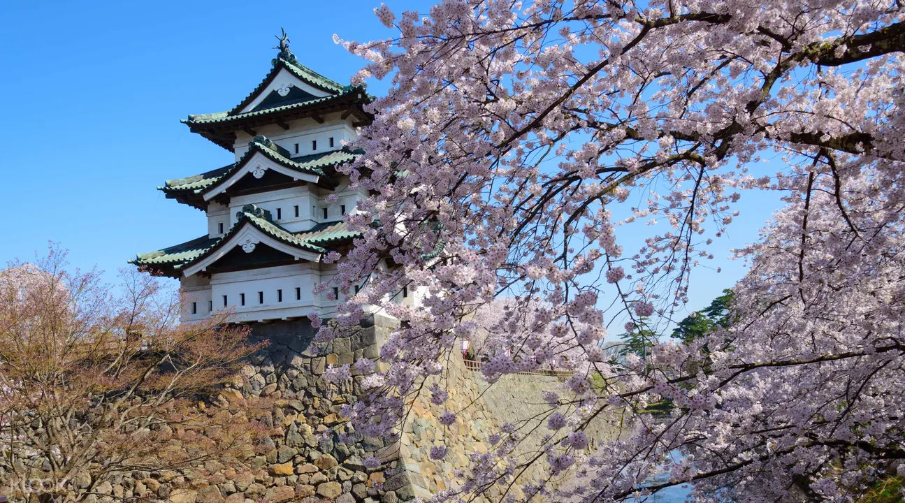 青森縣櫻花勝地弘前城