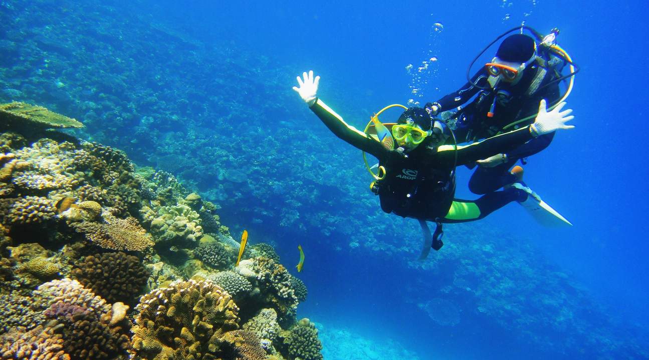 青の洞窟 シュノーケリング ダイビング パラセーリング体験の予約 沖縄本島発 Klook クルック