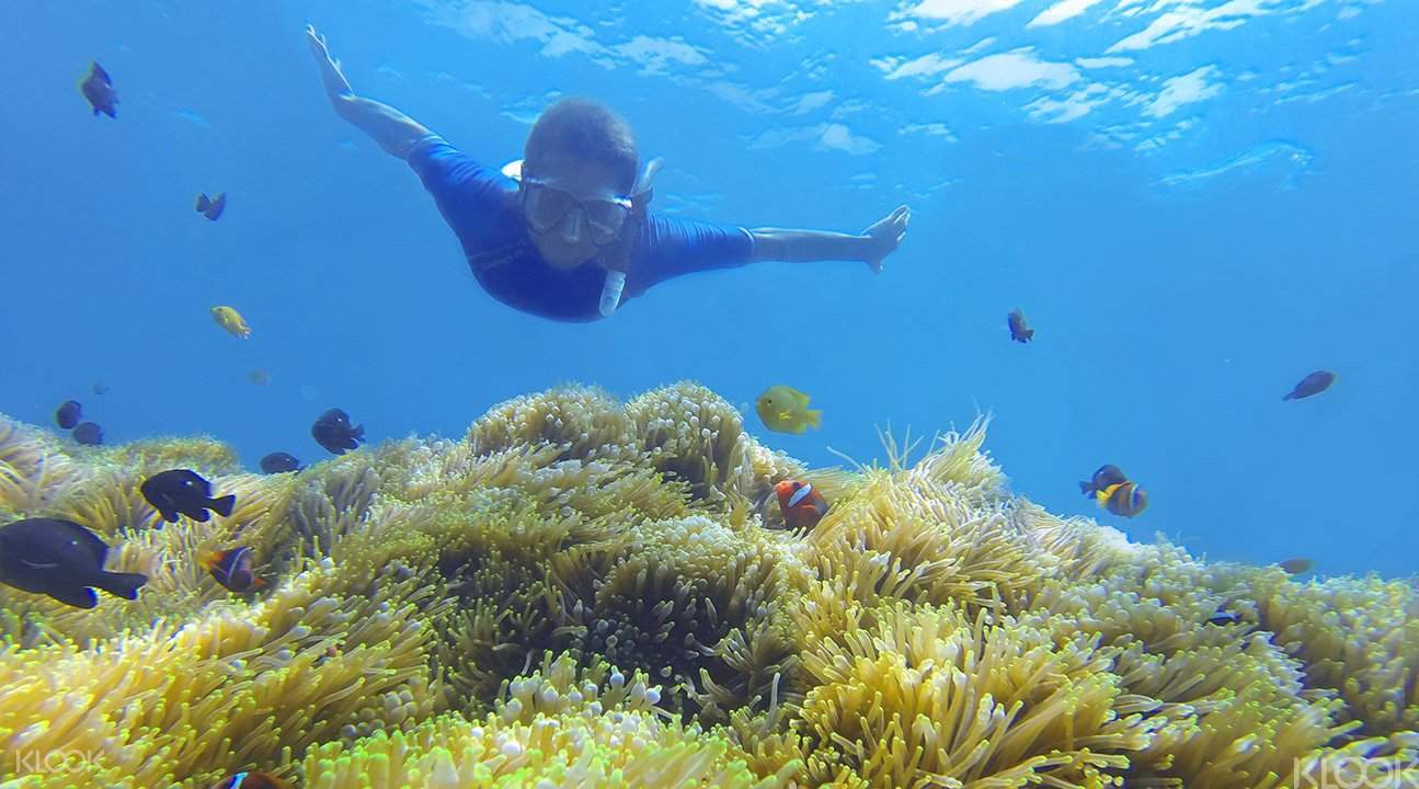 Full Day Snorkeling Amed Tour With Lunch