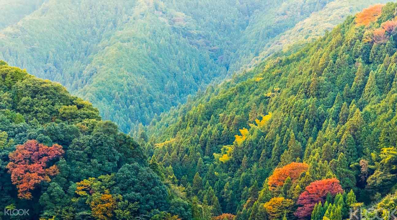 日本高野山