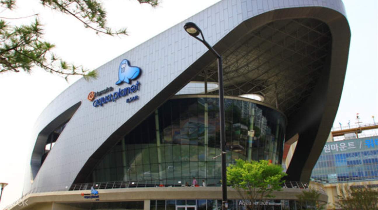 Hanwha Aqua Ilsan Aquarium Tickets in Gyeonggido, South Korea