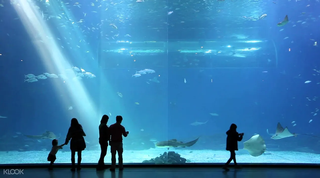 濟州島Aqua Planet水族館