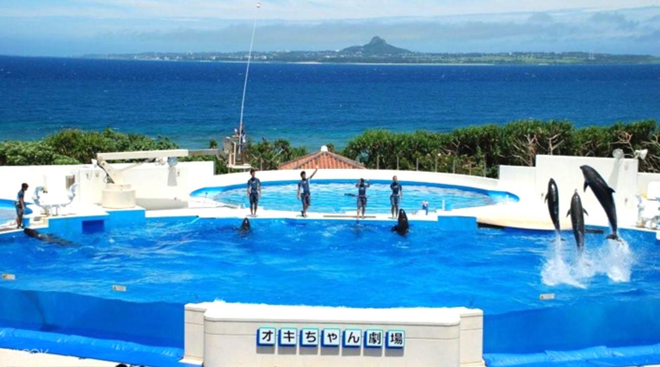 美麗海水族館海豚劇場