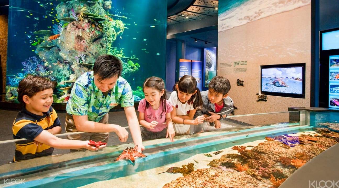 新加坡名勝世界聖淘沙 海洋館
