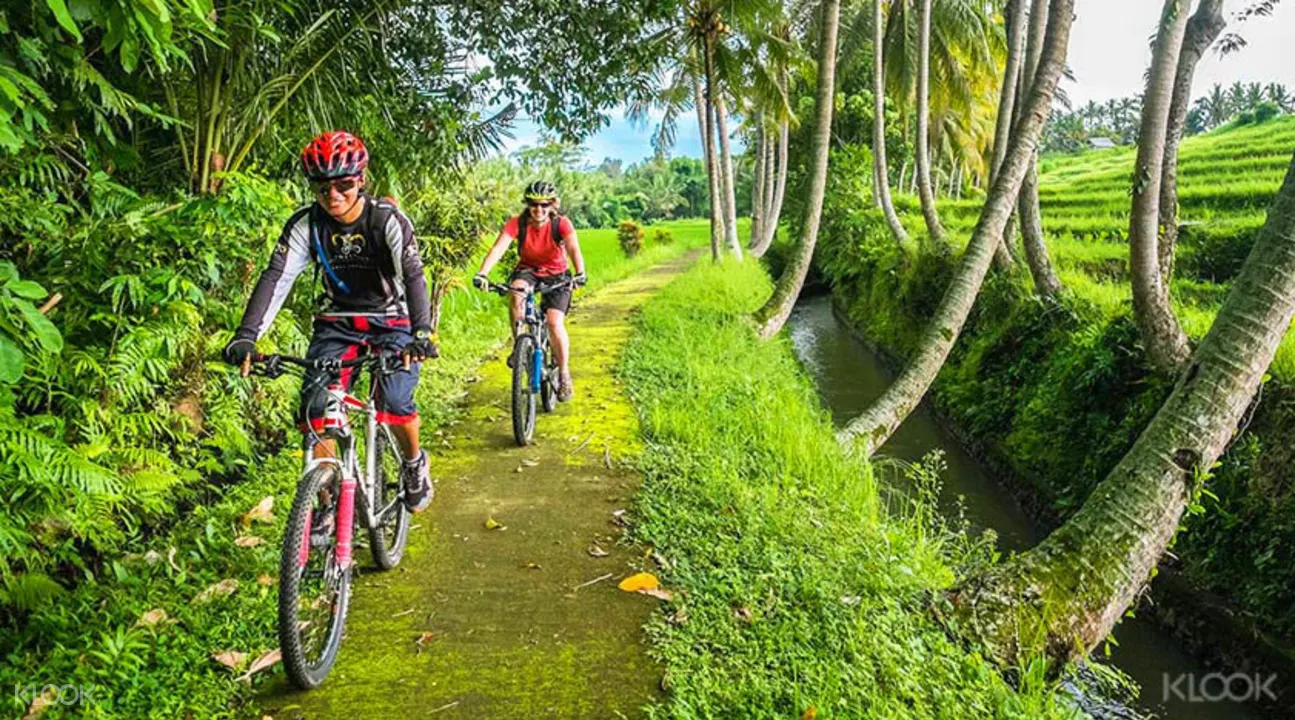 Cycling tour Bali