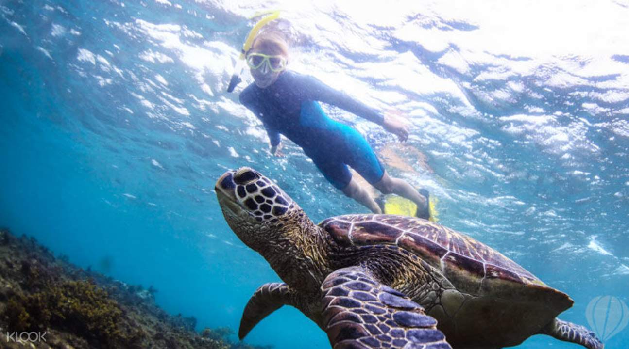 慶良間浮潛體驗