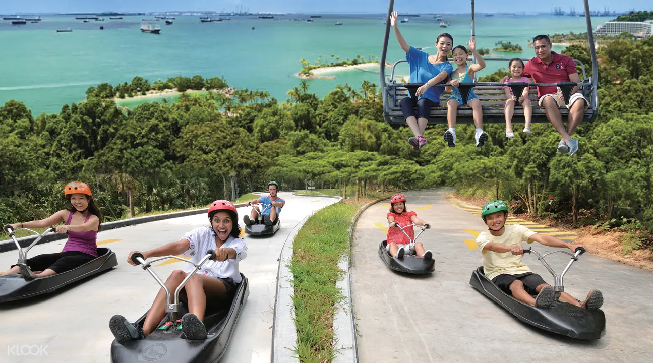 people riding the luge 
