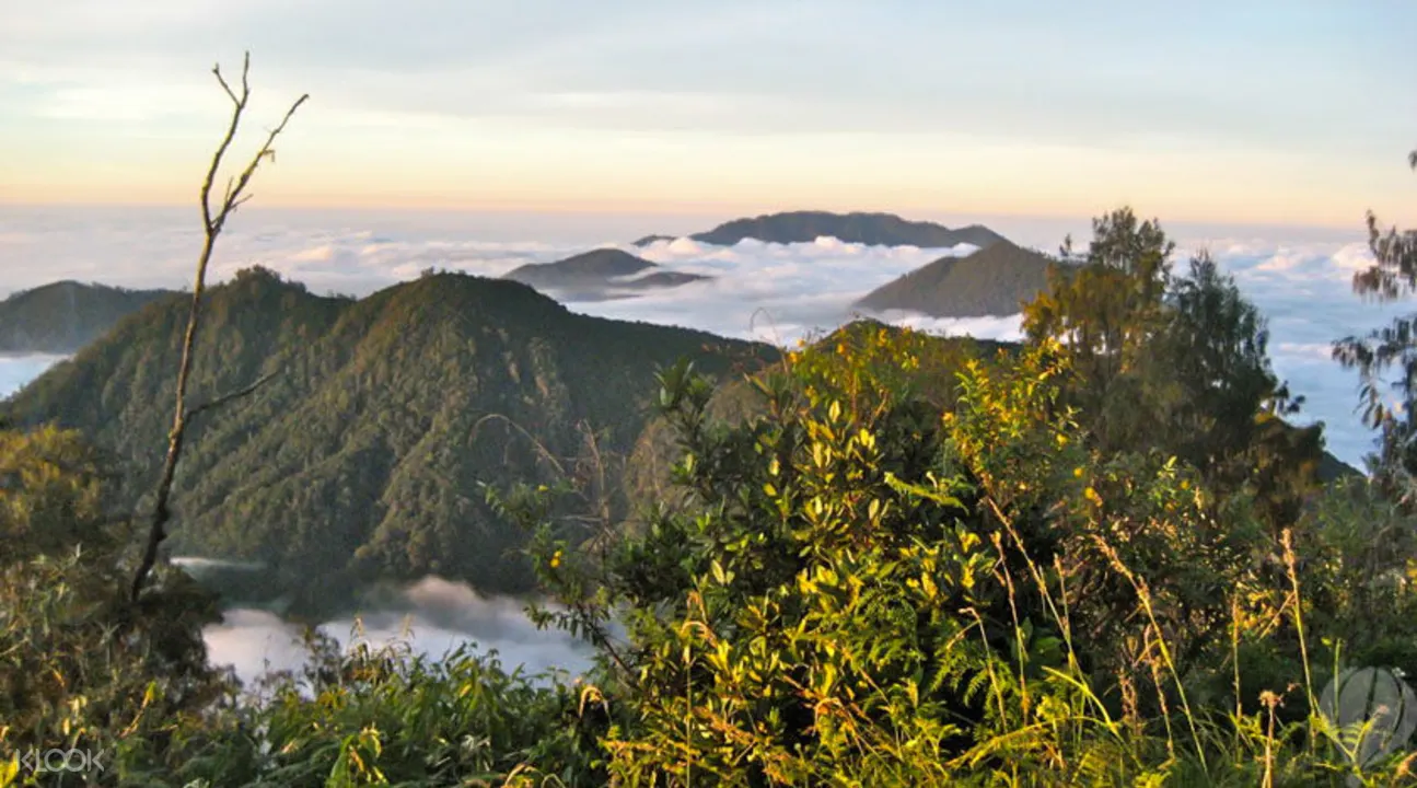 Mount Batukaru