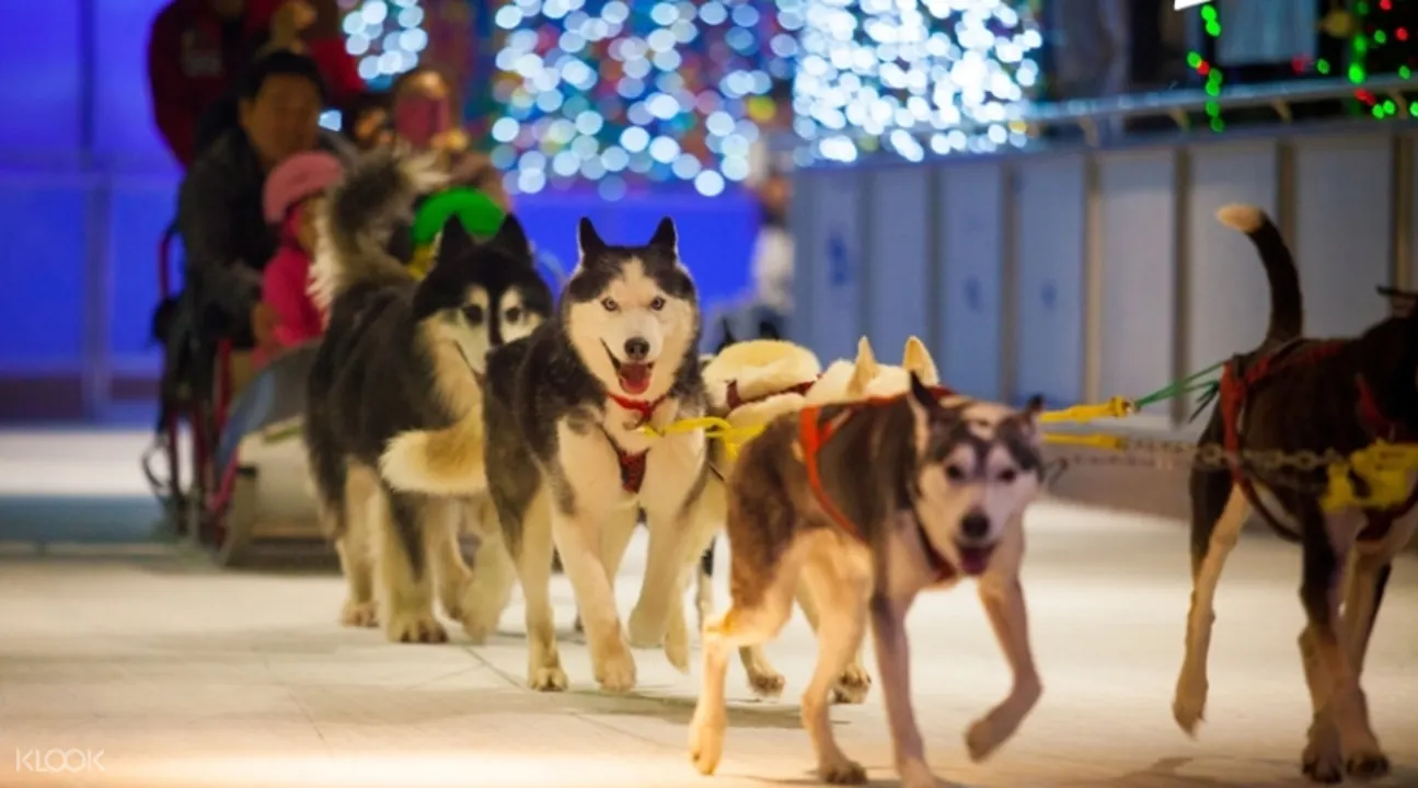 韓國Onemount冰雪樂園