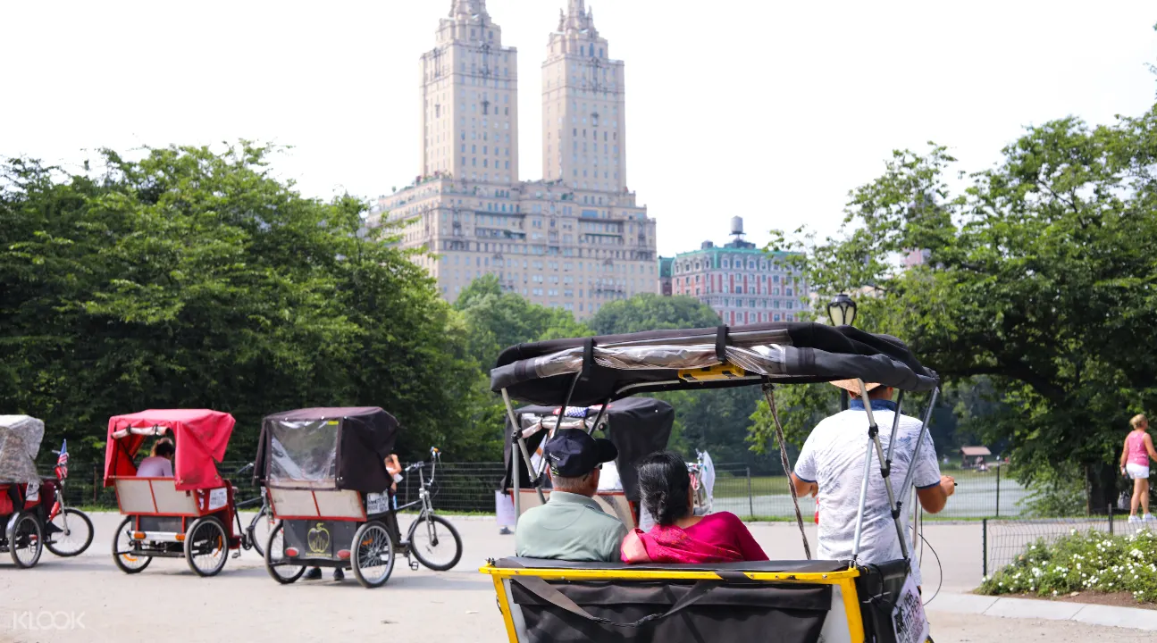 central park sightseeing horse carriage & pedicab tours