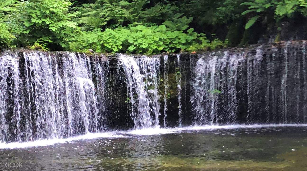 Karuizawa Kumoba Pond Shiraito Falls Day Tour From Tokyo Klook Us