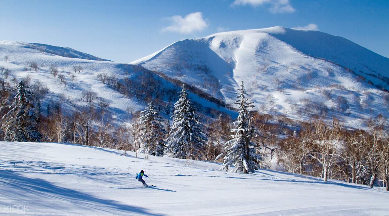 北海道滑雪场巴士票 札幌 新千岁机场往返喜乐乐滑雪度假村 klook客路中国