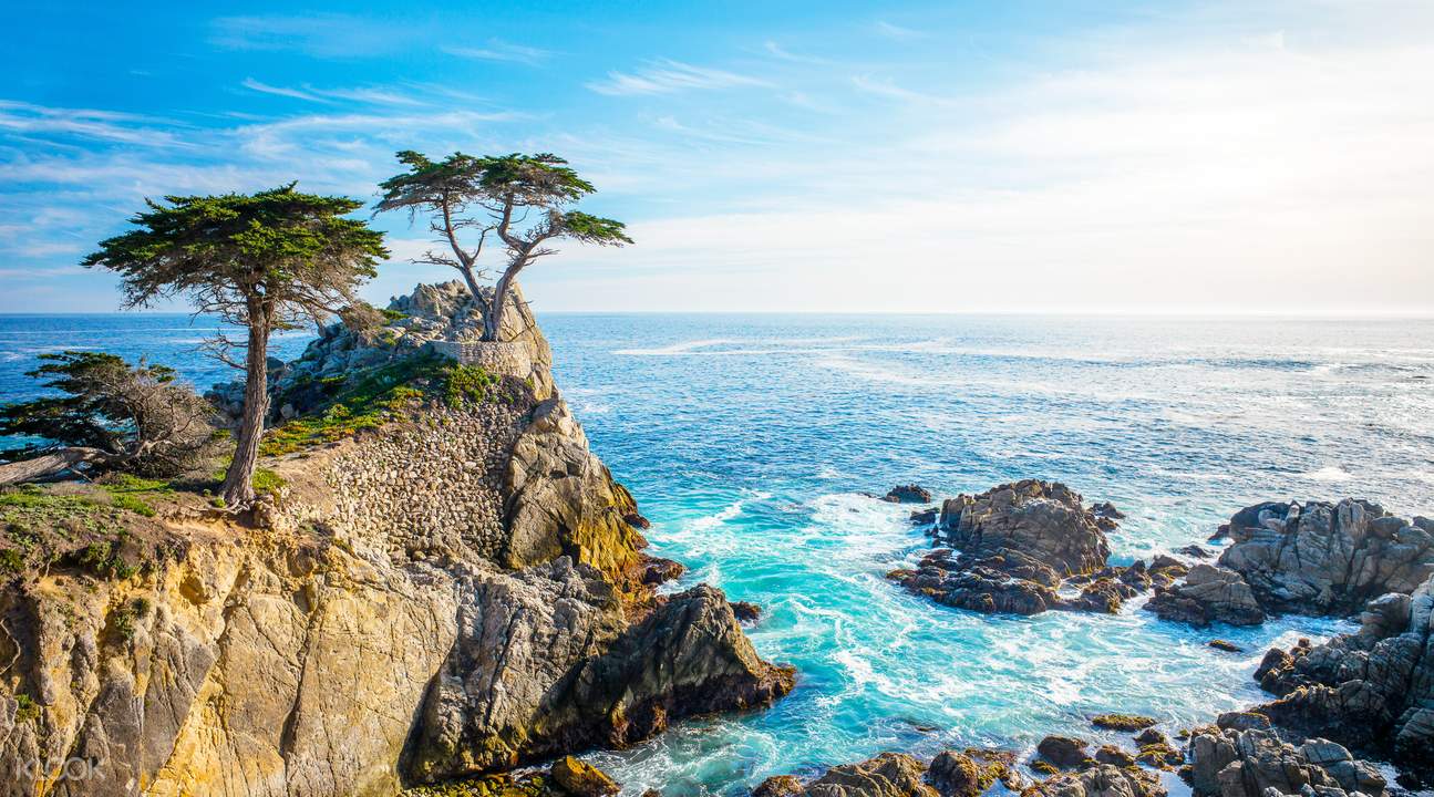 Monterey Carmel And The 17 Mile Drive Day Tour