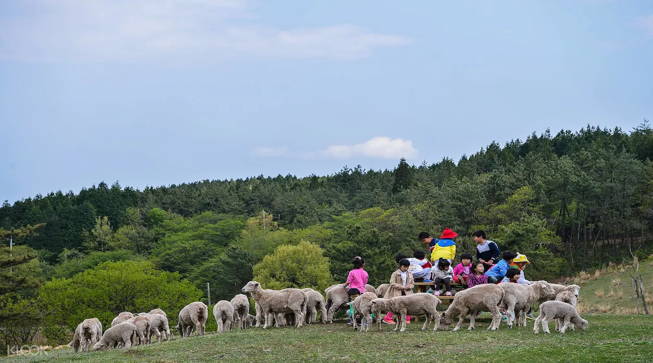 南海郡一日遊,南海加川梯田村,釜山南海郡