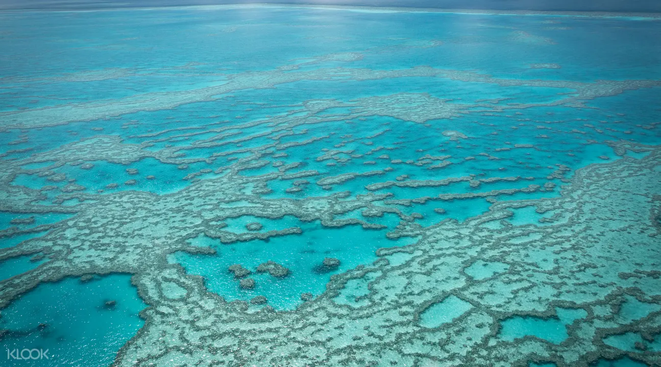 Cairns Tandem Skydiving Klook Uk