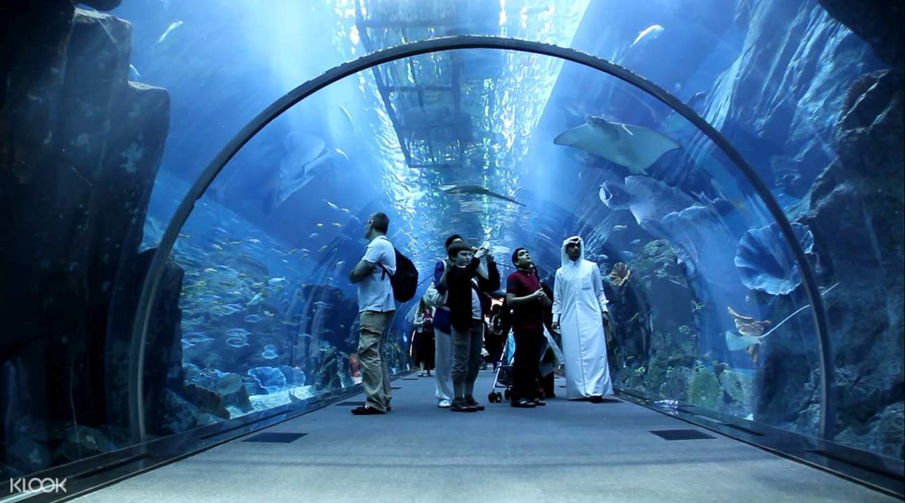 Подводный зоопарк