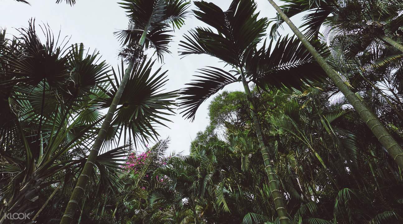 Xiamen Botanical Garden Travel Guidebook Must Visit