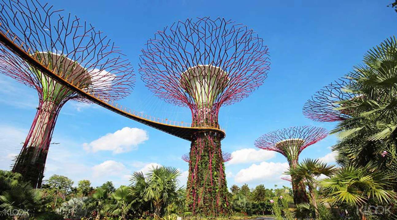 Singapore Gardens By The Bay Tickets Cloud Forest Flower Dome