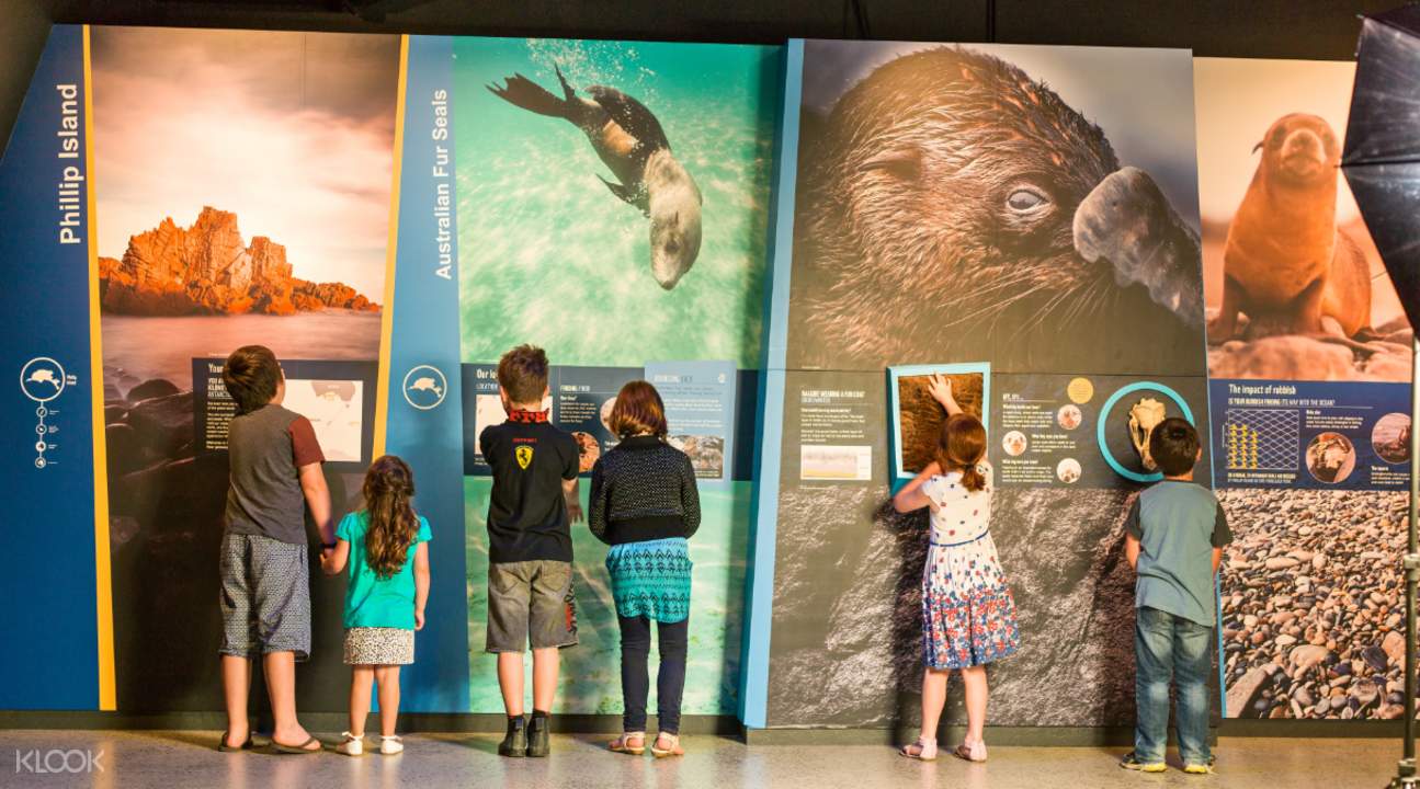 諾比斯南極之旅