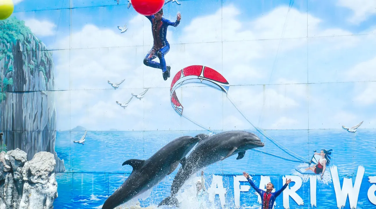 賽佛瑞野生動物園海洋公園區表演