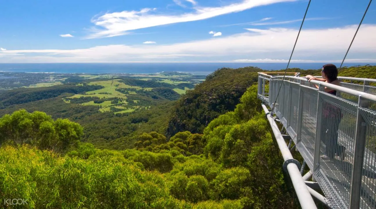 Illawarra Fly Treetop Walk Ticket