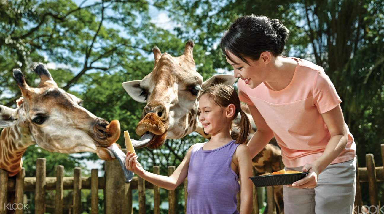 新加坡動物園