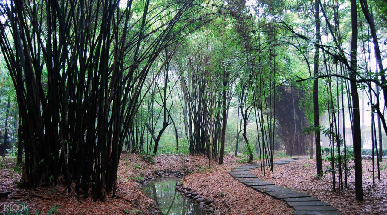 Dufu S Thatched Cottage Ticket Chengdu China Klook