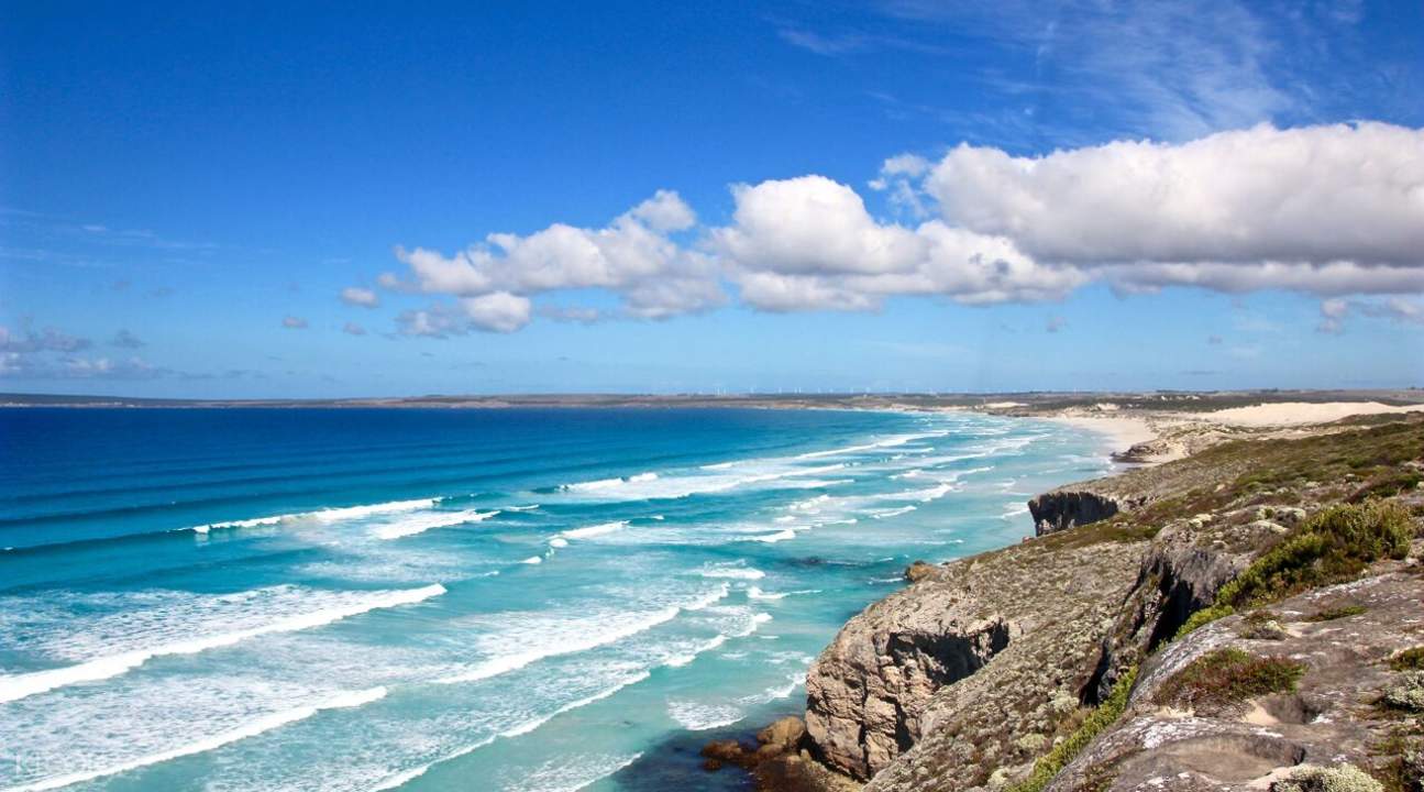 Coffin Bay Oysters, Ocean and Nature Day Tour from Port Lincoln