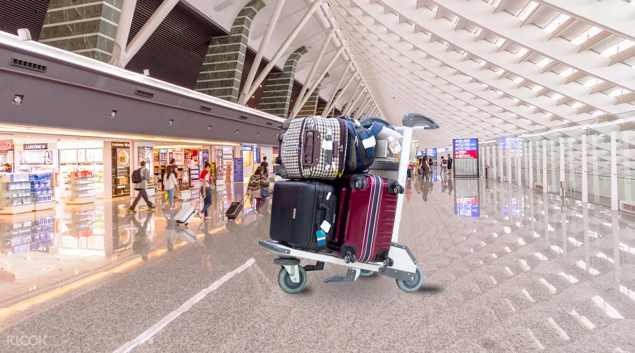 luggage delivery