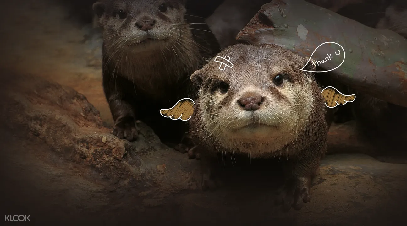 韓華水族館一山