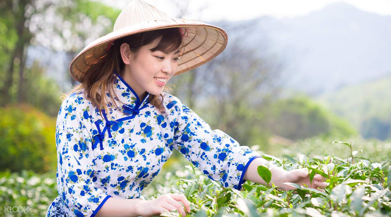 戴上斗笠去體驗採茶的樂趣