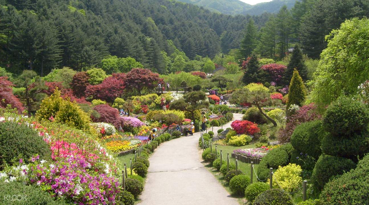 楊平熱門景點一日遊